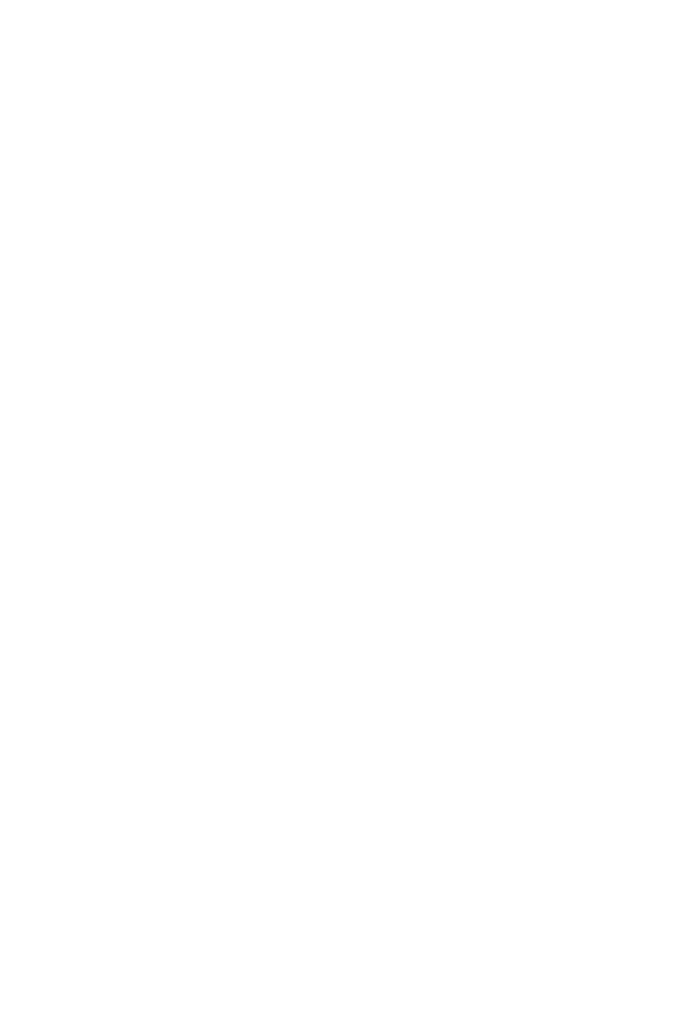 Logo SINCHI blanco