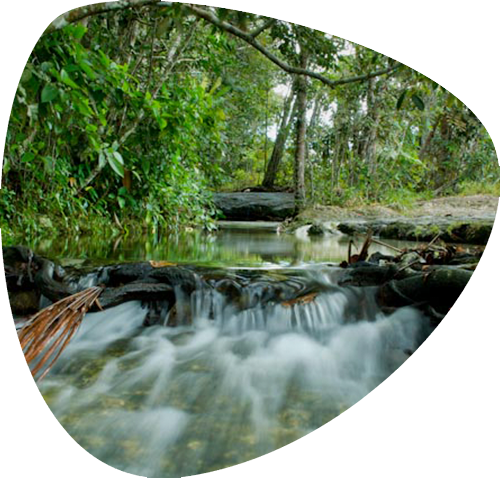 Charco_Indio_II_Guaviare