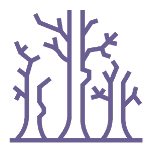 logo Motores de deforestación