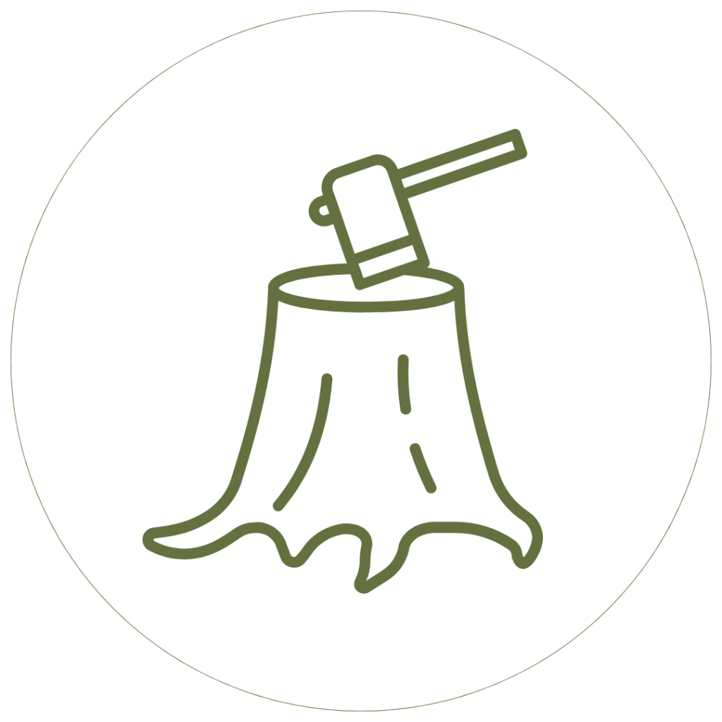 Tráfico ilegal y sobreexplotación de biodiversidad